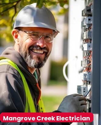 Local Electrician in Mangrove Creek NSW
